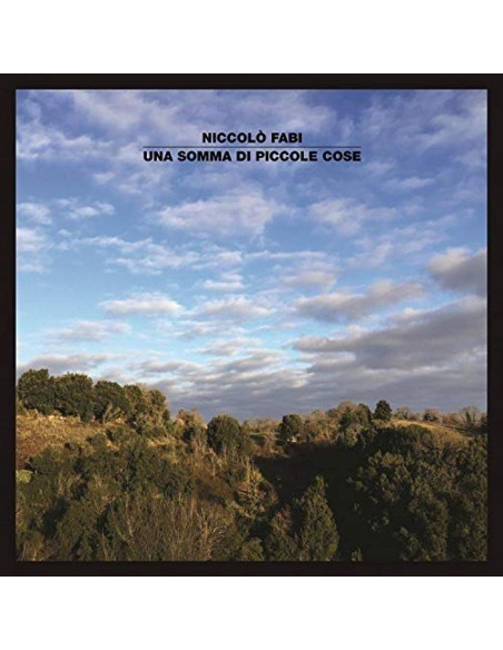 Fabi Niccolo' - Una Somma Di Piccole Cose - (CD)