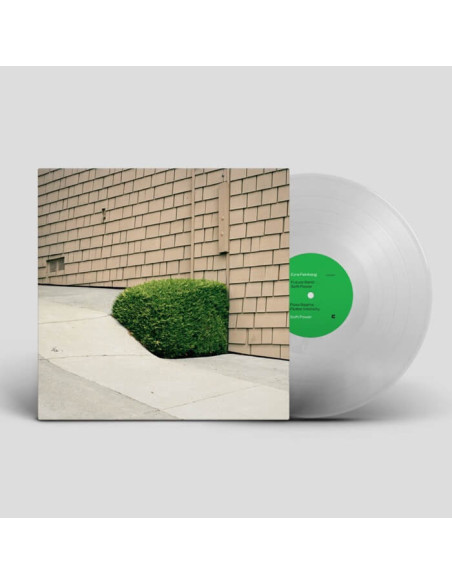 Feinberg, Ezra - Soft Power - Transparent Green Vinyl