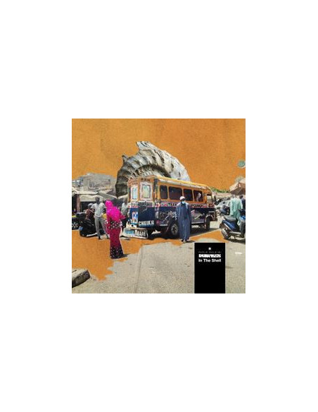 Paolo Baldini (Dubfiles) - In The Shell