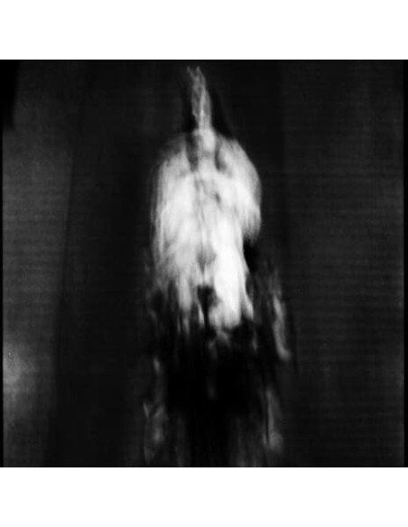 Cigno - Morte E Pianto Rituale