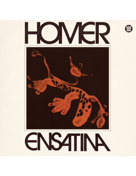 Homer - Ensatina