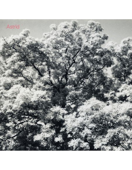 Astrid - Always Digging The Samehole - (CD)