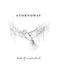 Stornoway - Best Of: Unplucked LP ECO MIX VINYL, UNIQUE COLOURS EACH VINYL