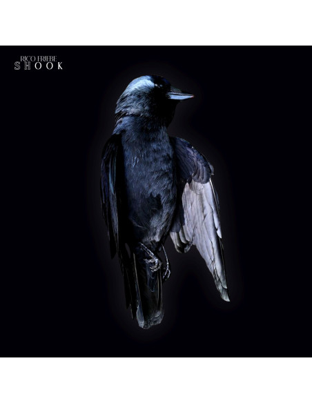 Friebe, Rico - Shook