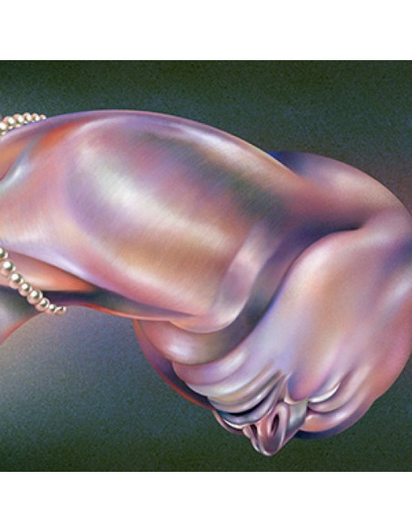 Walt Disco - The Warping - Pearl Vinyl