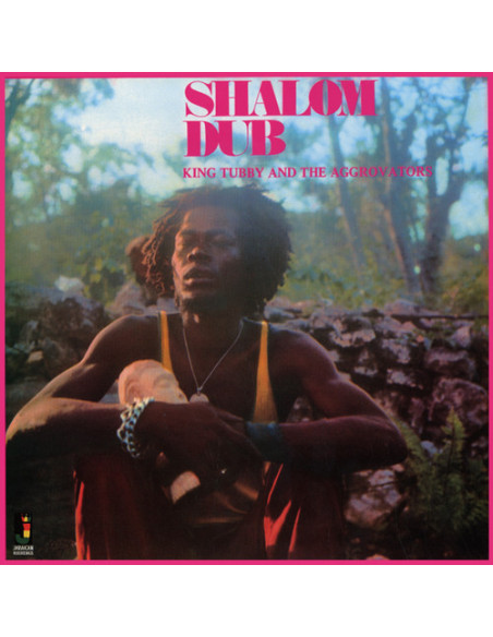 King Tubby and The Aggrovators - Shalom Dub - (CD)