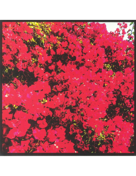 Bjork, Brant - Bougainvillea Suite