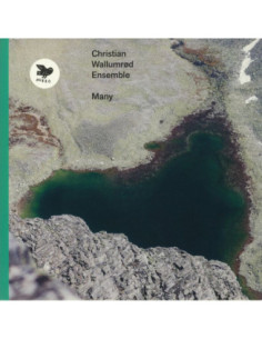 Christian Wallumrod Ensemble - Many