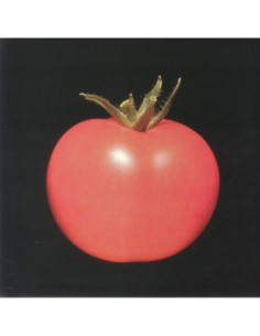 Chronophage - Chronophage