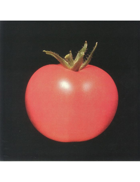 Chronophage - Chronophage