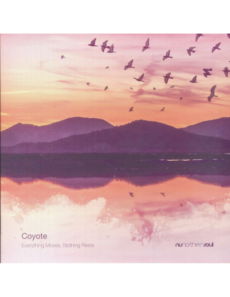 Coyote - Everything Moves Nothing Rests