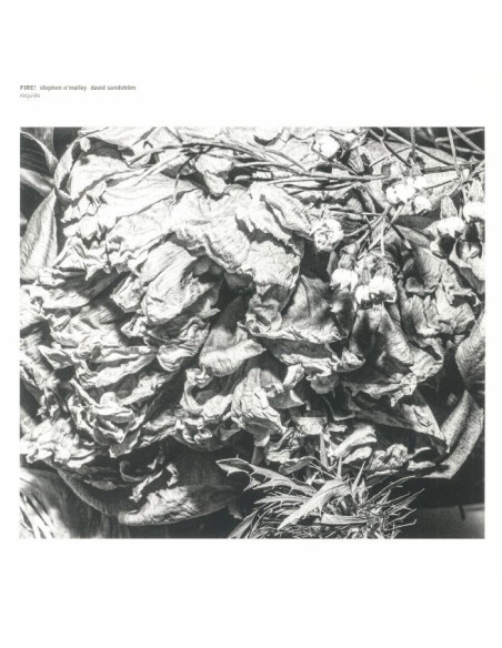 Fire!/Stephen O'Malley/David Sandstrom - Requires