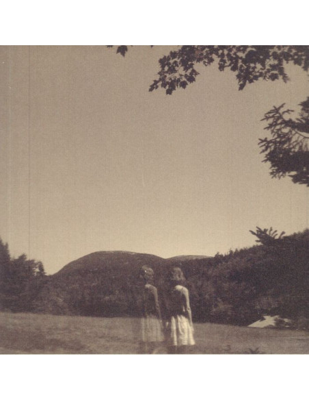 Goldmund - The Malady Of Elegance (remastered)