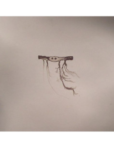 Gonzalez, Jose - In Our Nature