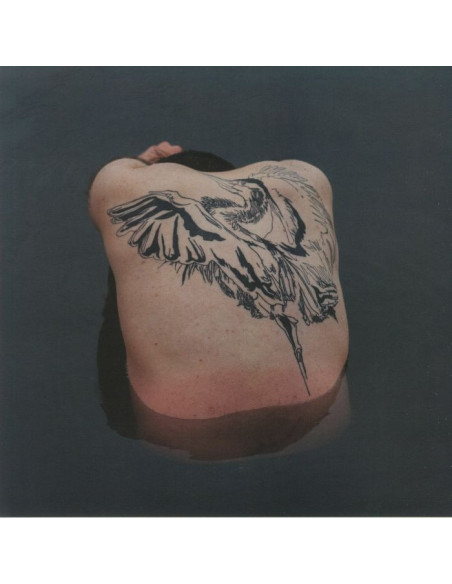 Jodi - Blue Heron
