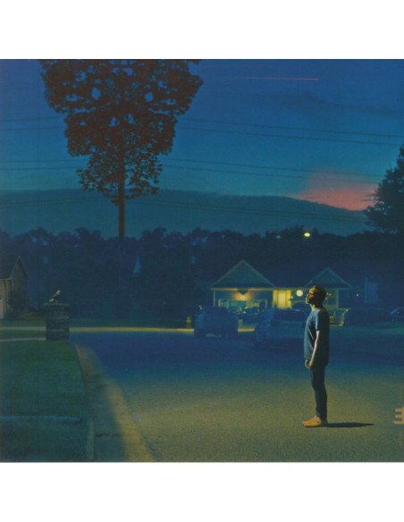 Smith, Nate - Kinfolk 2: See The Birds