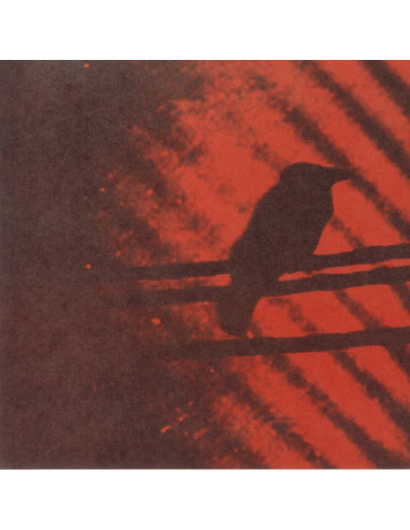 Thee Silver Mt Zion Memorial Orchestra - Born Into Trouble As The Sparks Fly Upward (reissue)