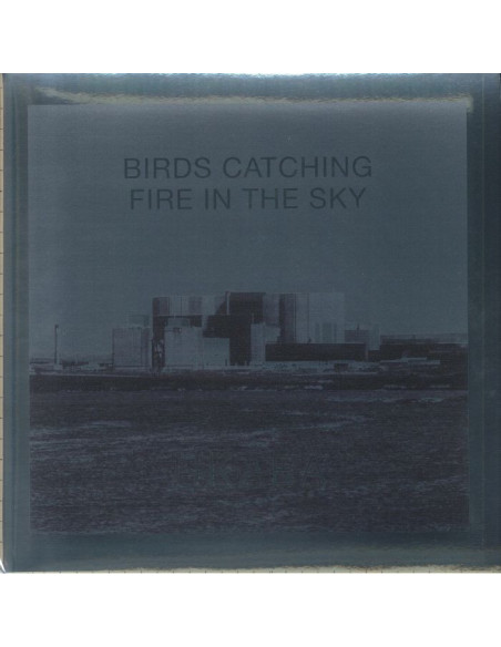 Ukaea - Birds Catching Fire In The Sky