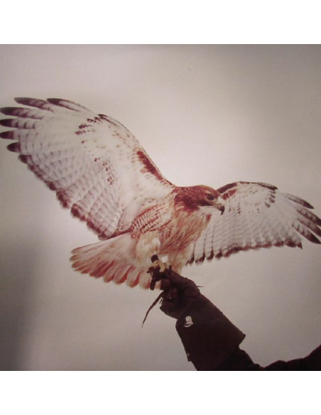 Airis Jm - Wild Birds