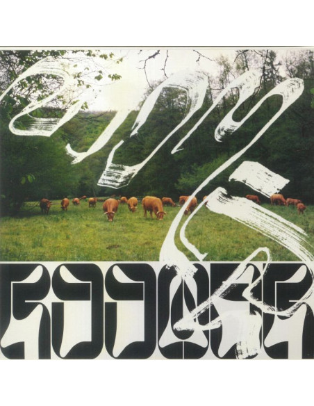 Roomer - Skice