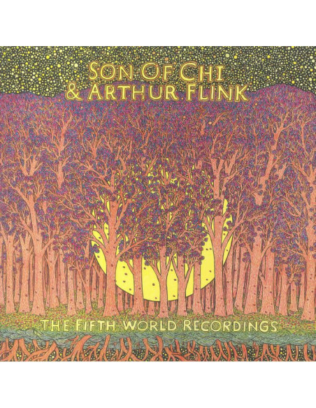 Son Of Chi/Arthur Flink - The Fifth World Recordings