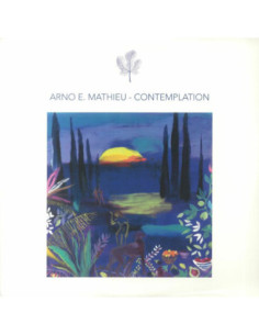 Mathieu Arno E - Contemplation