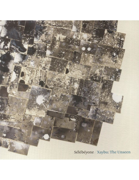 Lehman Steve/Selebeyone - Xaybu: The Unseen