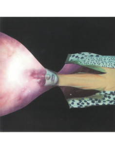 Painted Shield - Painted Shield 2