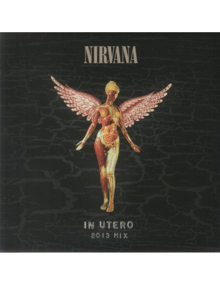 Nirvana - In Utero 2013 Mix