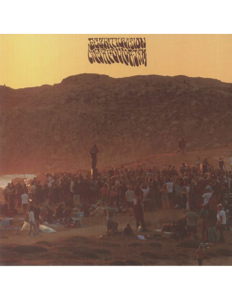 Ecstatic Vision - Live At Dunajam