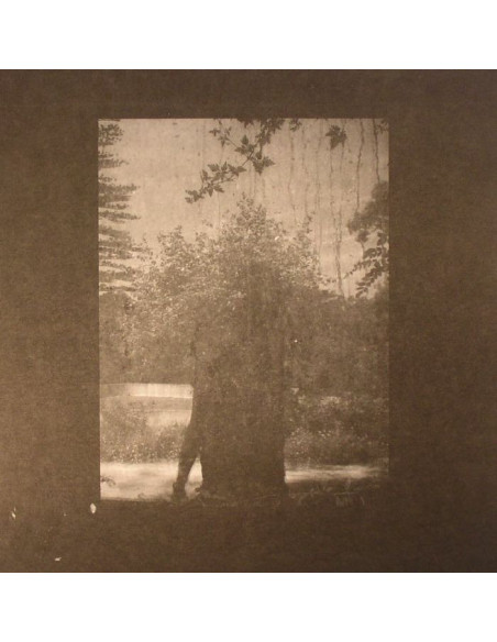 Grouper - Ruins