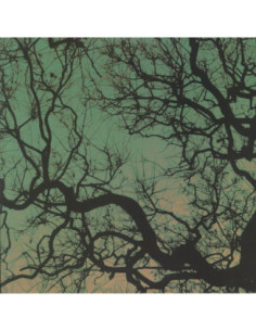 Follakzoid - Follakzoid (remastered)