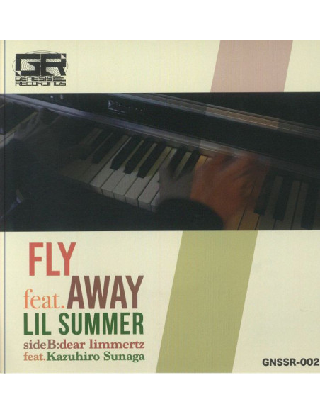 Hirado Yusuke Feat Lil Summer - Fly Away