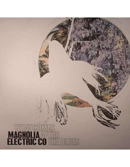 Magnolia Electric Co - What Comes After The Blues