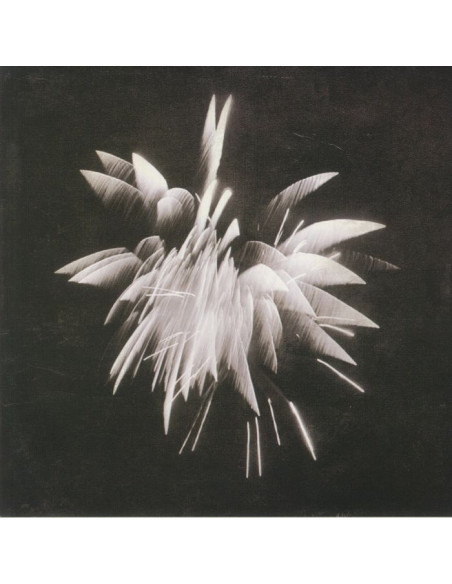 Windler Brent - New Morning Howl