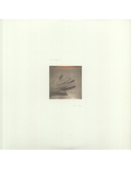Grouper - Shade