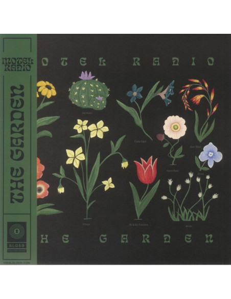 Motel Radio - The Garden