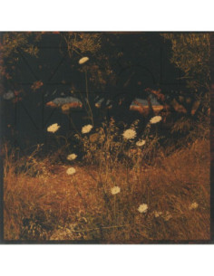 Szun Waves - Earth Patterns