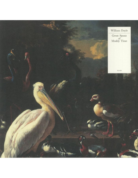 Doyle William - Great Spans Of Muddy Time