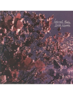 Eerie Wanda - Internal Radio