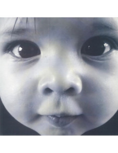 Vanwymeersch Wolf - The Early Years