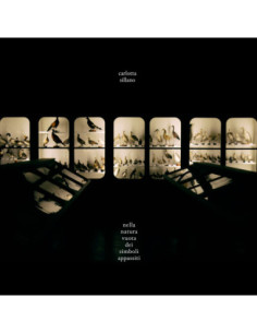 Sillano, Carlotta - Nella Natura Vuota Dei Simboli Appassiti - (CD)