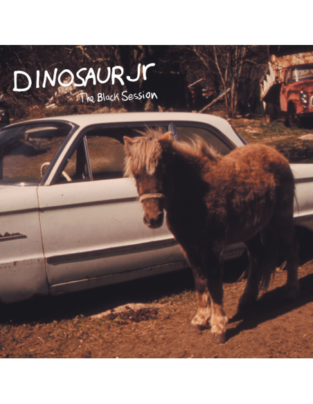 Dinosaur Jr - Black Session - Live Inparis 1993