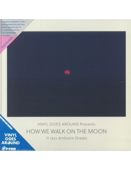 Various - How We Walk On The Moon: 11 Jazz Ambient Greats