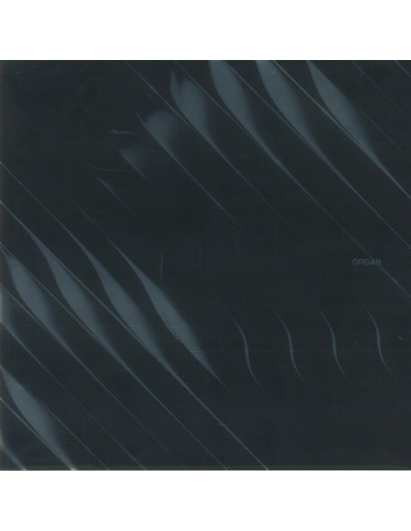 Dimension - Organ