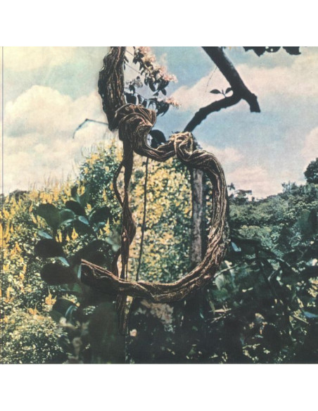 Celer/Forest Management - Landmarks