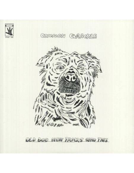 Common Grackle - Old Dog New Tricks Who This