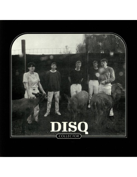 Disq - Collector