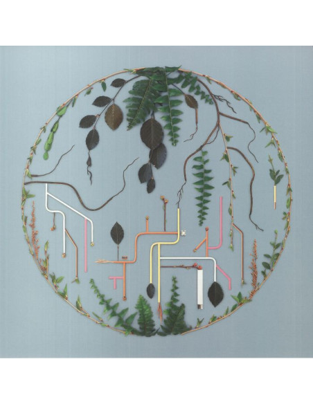 El Buho/Various - Tributaries Vol 2