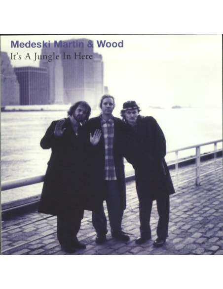 Medeski Martin And Wood - It'S A Jungle In Here